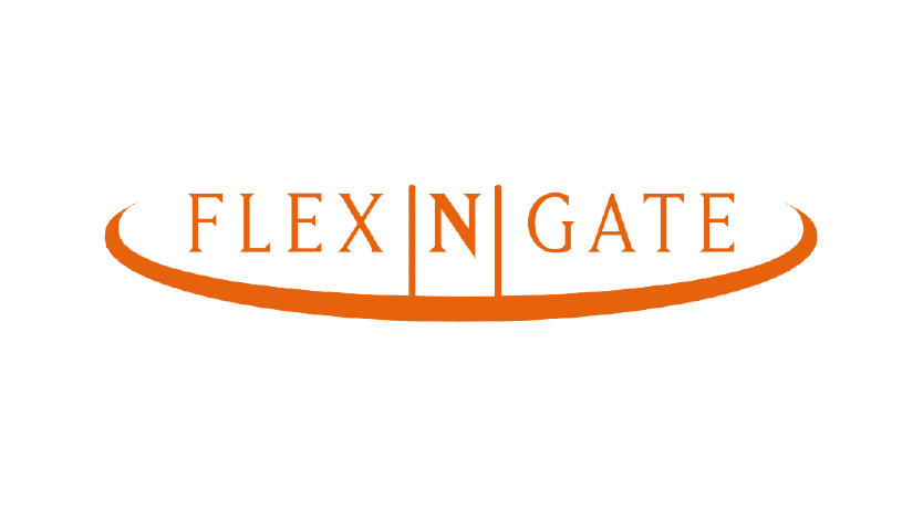 logo_9_flexngate